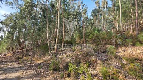 Oportunidade - terreno urbano com 842 m² – santa eufémia, leiria