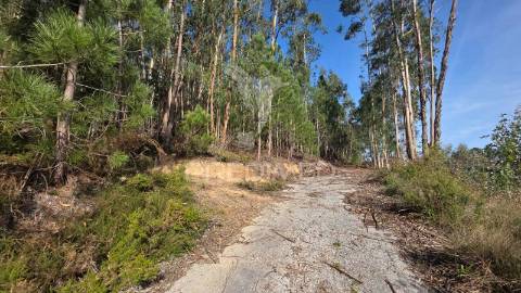 Oportunidade - terreno urbano com 842 m² – santa eufémia, leiria