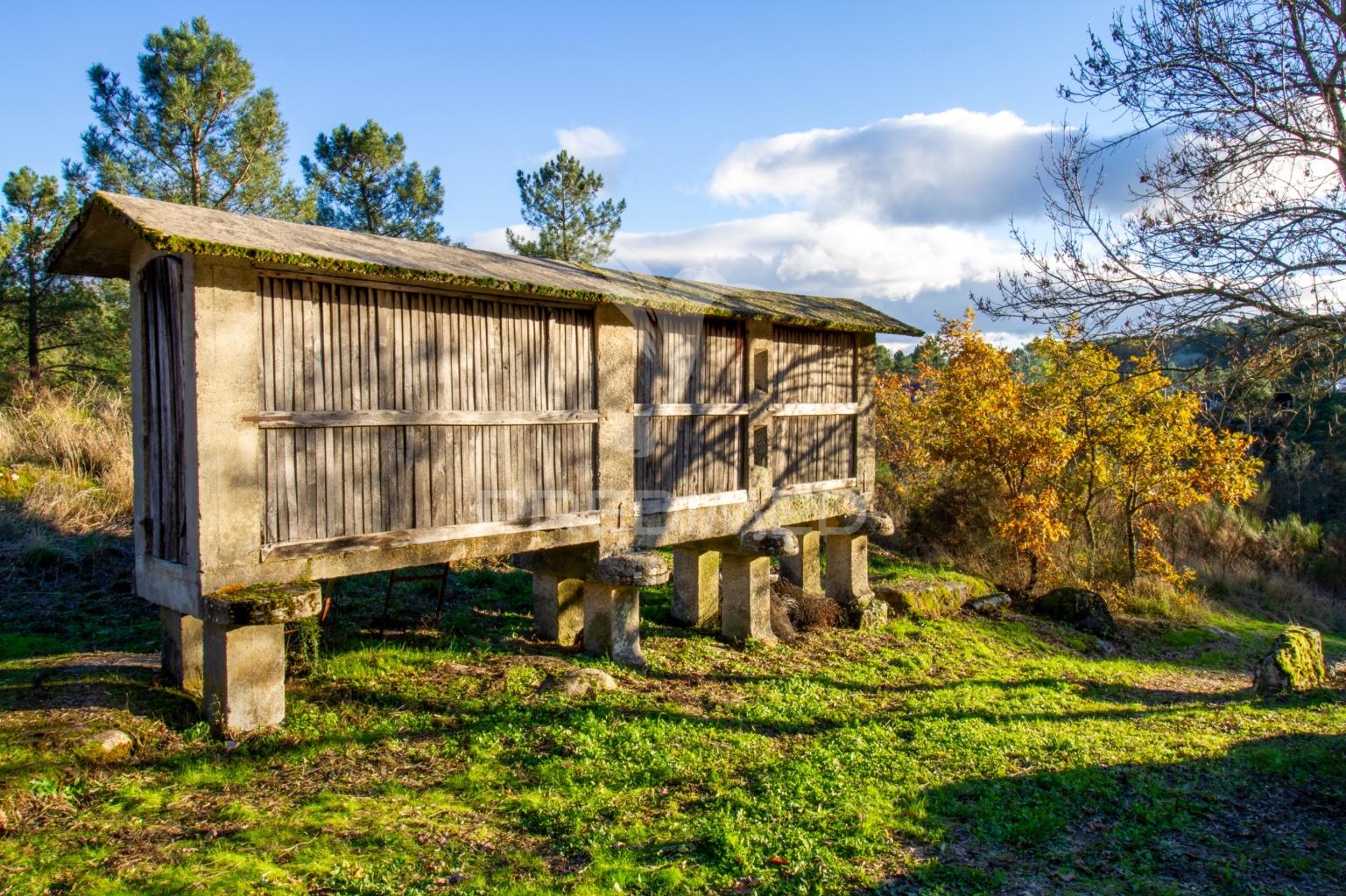 Quinta com casas e moinhos a 5 kms de vila real