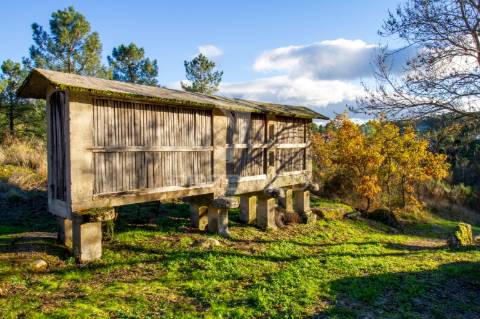 Quinta com casas e moinhos a 5 kms de vila real