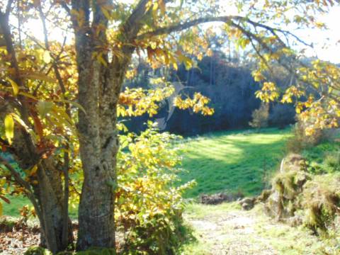 Quinta com casas e moinhos a 5 kms de vila real