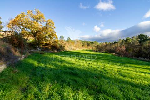 Quinta com casas e moinhos a 5 kms de vila real