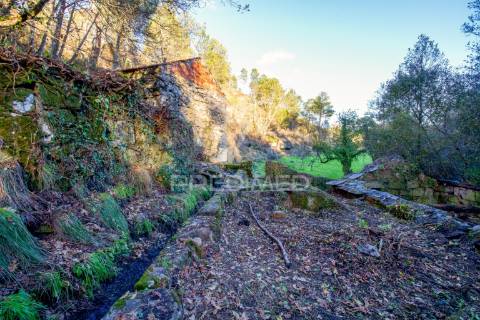 Quinta com casas e moinhos a 5 kms de vila real