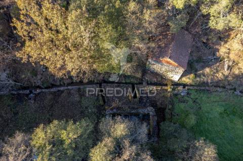 Quinta com casas e moinhos a 5 kms de vila real