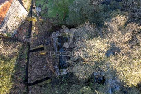 Quinta com casas e moinhos a 5 kms de vila real