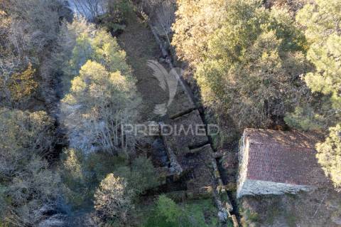 Quinta com casas e moinhos a 5 kms de vila real