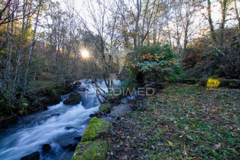Quinta com casas e moinhos a 5 kms de vila real