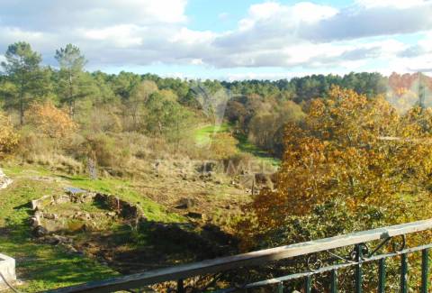 Quinta com casas e moinhos a 5 kms de vila real
