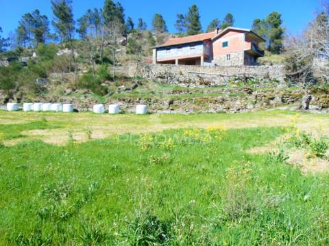 Quinta com casas e moinhos a 5 kms de vila real
