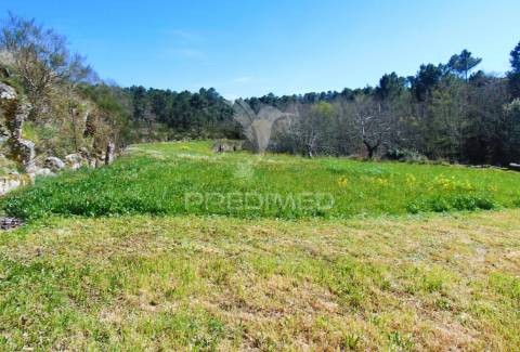 Quinta com casas e moinhos a 5 kms de vila real