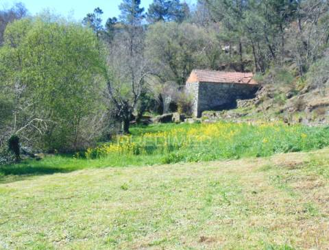 Quinta com casas e moinhos a 5 kms de vila real