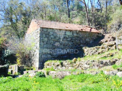 Quinta com casas e moinhos a 5 kms de vila real