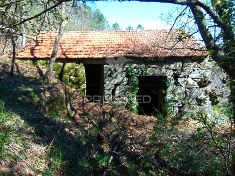 Quinta com casas e moinhos a 5 kms de vila real