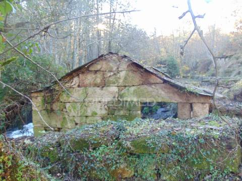 Quinta com casas e moinhos a 5 kms de vila real