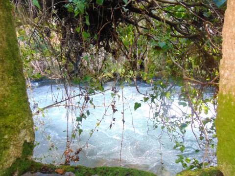Quinta com casas e moinhos a 5 kms de vila real