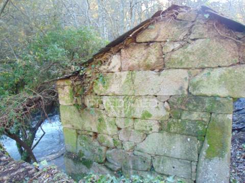 Quinta com casas e moinhos a 5 kms de vila real