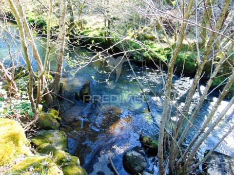 Quinta com casas e moinhos a 5 kms de vila real