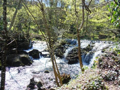 Quinta com casas e moinhos a 5 kms de vila real