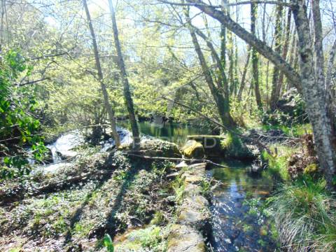 Quinta com casas e moinhos a 5 kms de vila real