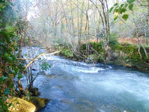 Quinta com casas e moinhos a 5 kms de vila real