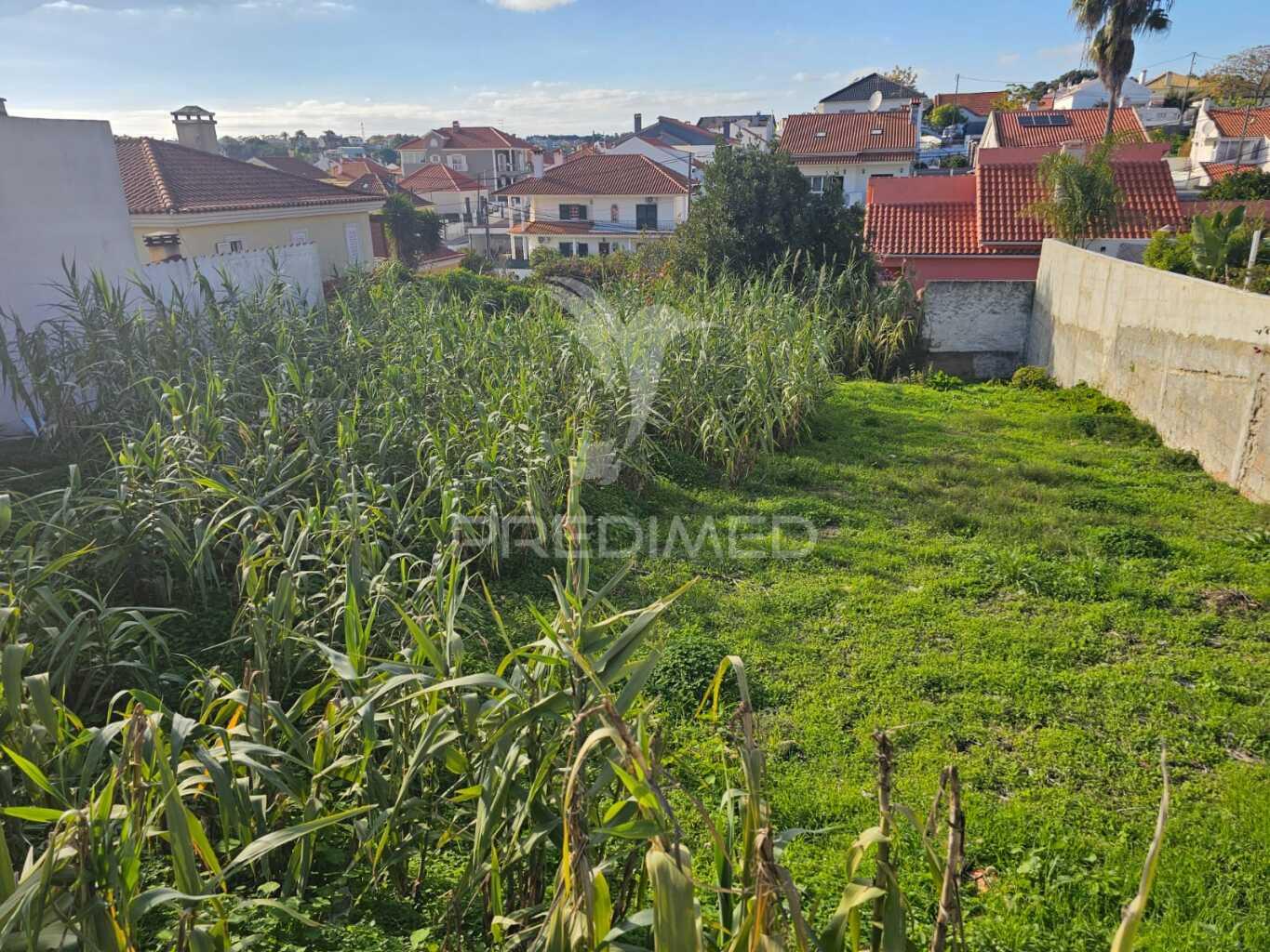 Terreno vale figueira