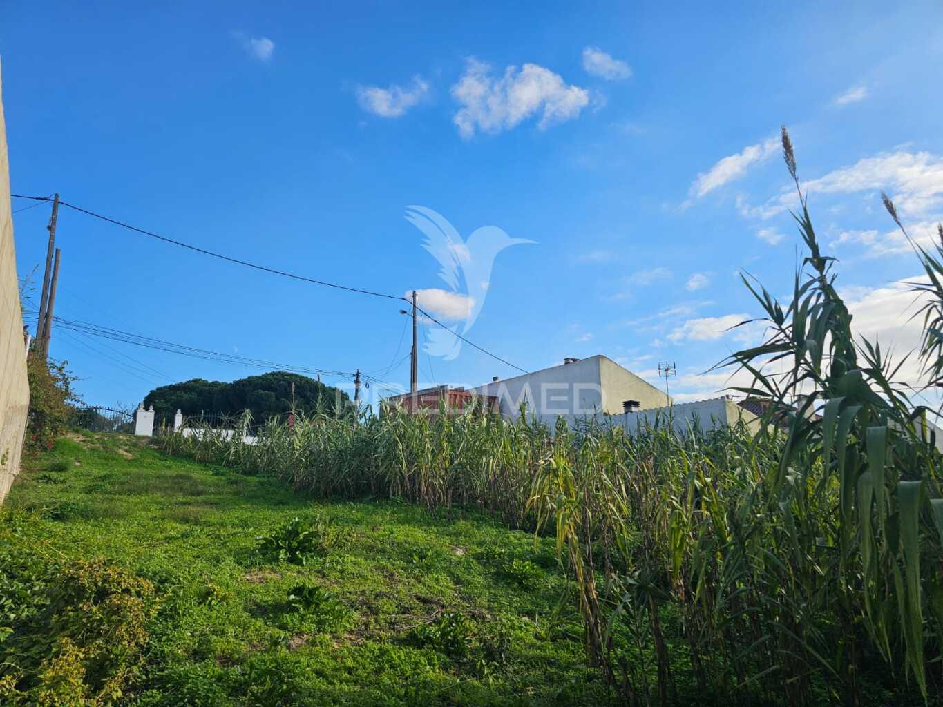 Terreno vale figueira