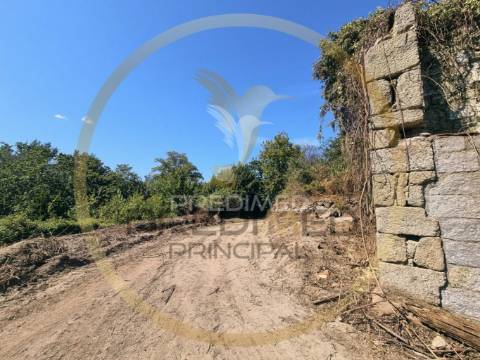 Terreno com ruina - póvoa de lanhoso