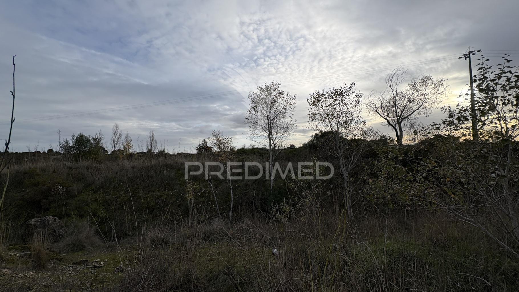 Terreno empresarial 37.000 m² – a 1 minuto da a1 e junto à a23 | oportunidade única