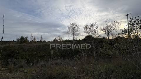 Terreno empresarial 37.000 m² – a 1 minuto da a1 e junto à a23 | oportunidade única