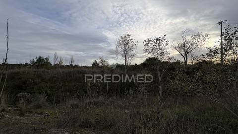 Terreno empresarial 37.000 m² – a 1 minuto da a1 e junto à a23 | oportunidade única