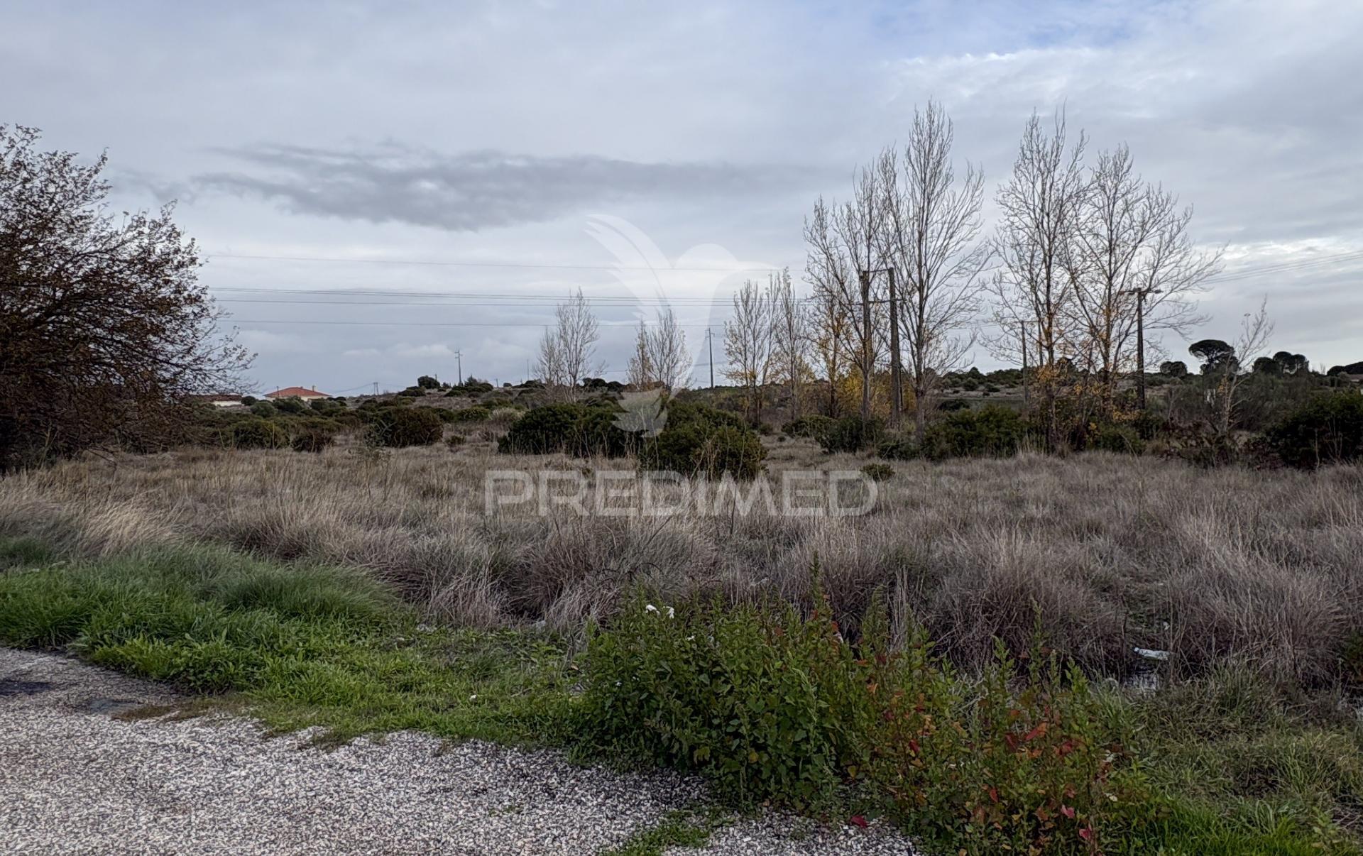 Terreno empresarial 37.000 m² – a 1 minuto da a1 e junto à a23 | oportunidade única