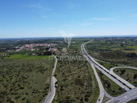 Terreno empresarial 37.000 m² – a 1 minuto da a1 e junto à a23 | oportunidade única