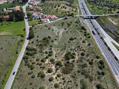 Terreno empresarial 37.000 m² – a 1 minuto da a1 e junto à a23 | oportunidade única