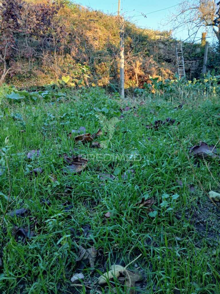 Terreno rústico com anexo em valdosende, terras de bouro (exclusivo)