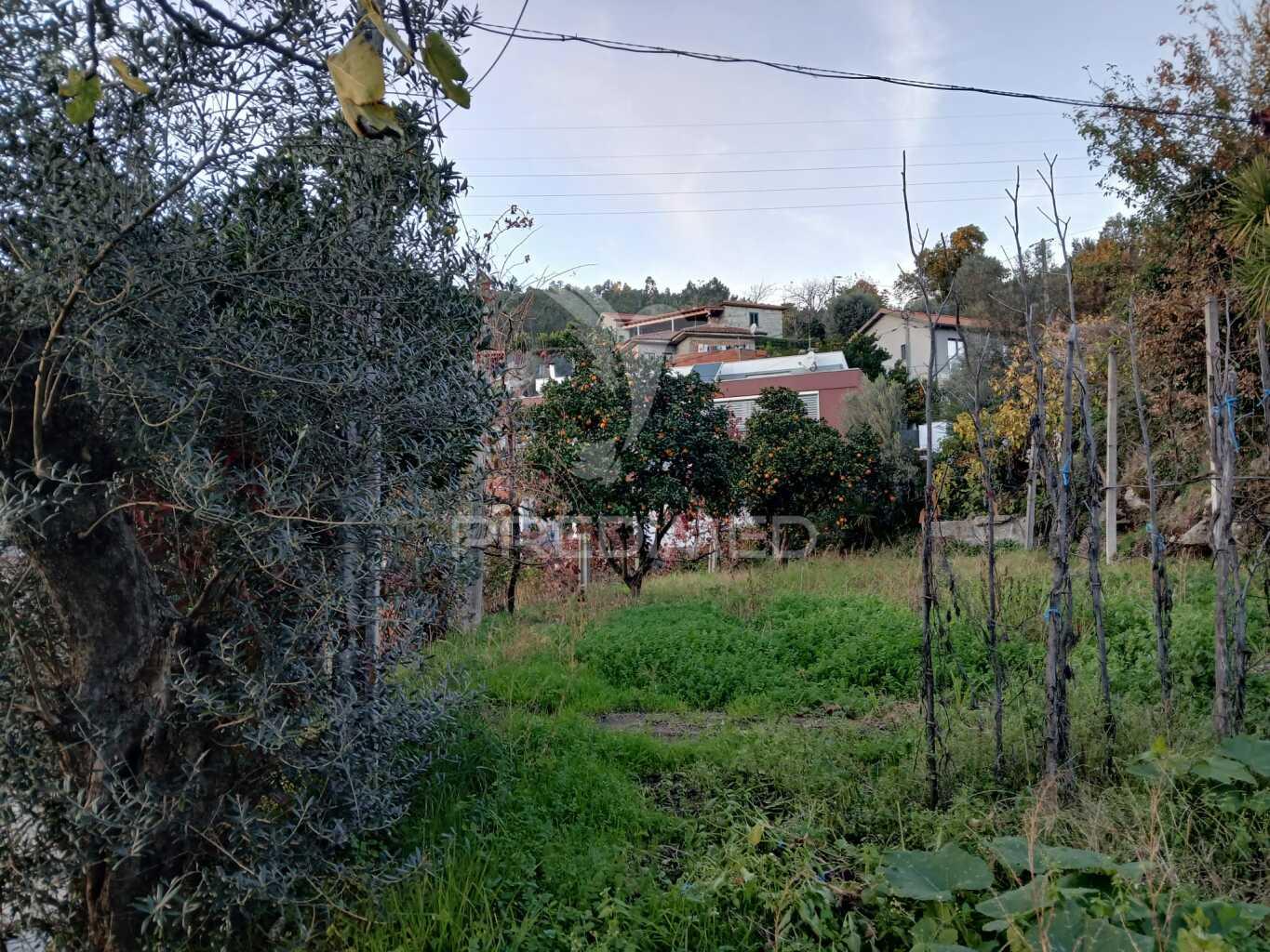 Terreno rústico com anexo em valdosende, terras de bouro (exclusivo)