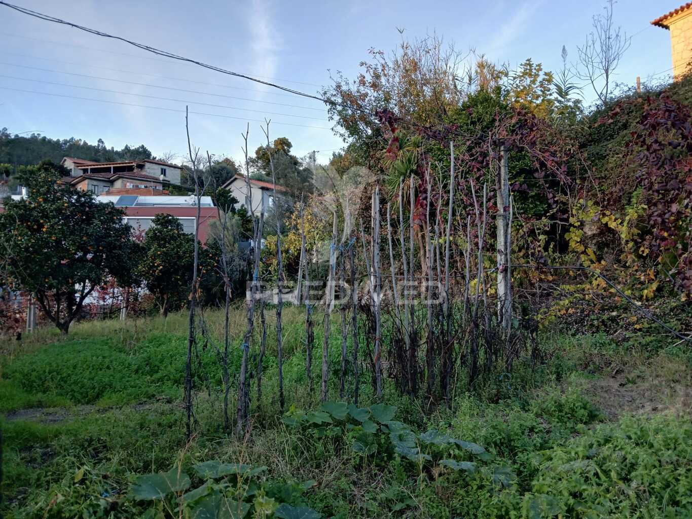 Terreno rústico com anexo em valdosende, terras de bouro (exclusivo)
