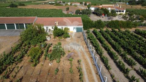 Maravilhosa quinta rural com terreno com 55750m2