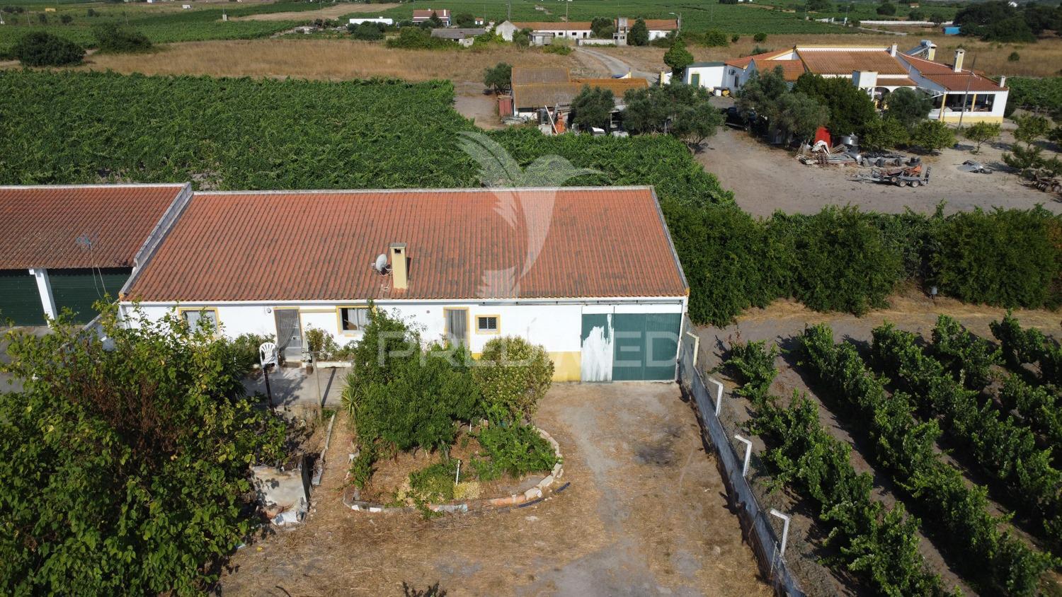 Maravilhosa quinta rural com terreno com 55750m2