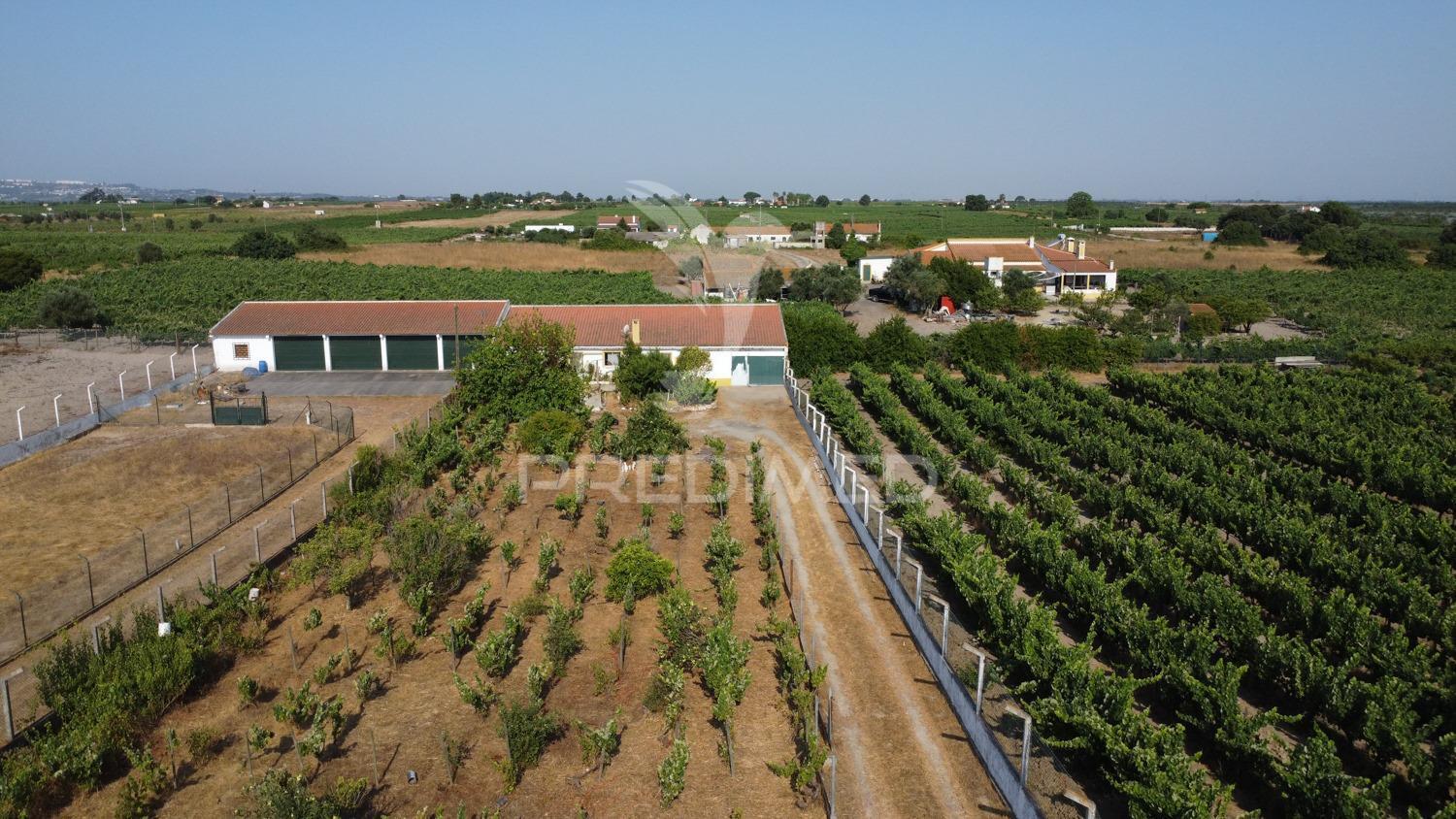 Maravilhosa quinta rural com terreno com 55750m2