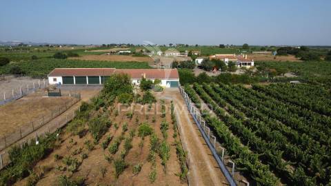 Maravilhosa quinta rural com terreno com 55750m2