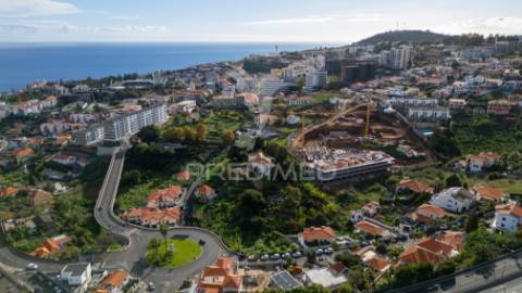 Terreno urbano exclusivo, pilar - são martinho funchal