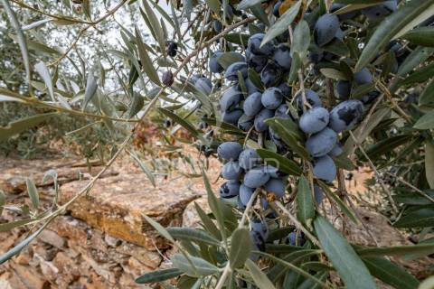 Moradia para renovar com 81 m²