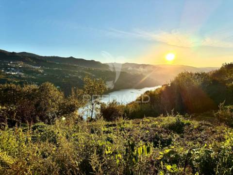 Moradia rústica com terreno e vistas rio douro