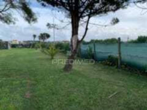 Terreno rustico na gafanha do carmo