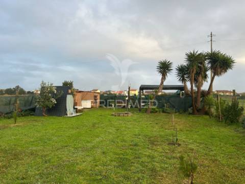 Terreno rustico na gafanha do carmo
