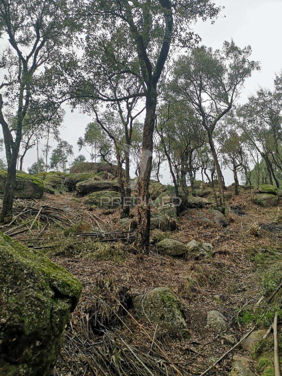 Terreno com localização privilegiada