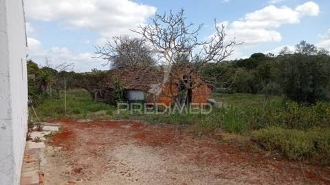 Monte alentejano, couço, coruche