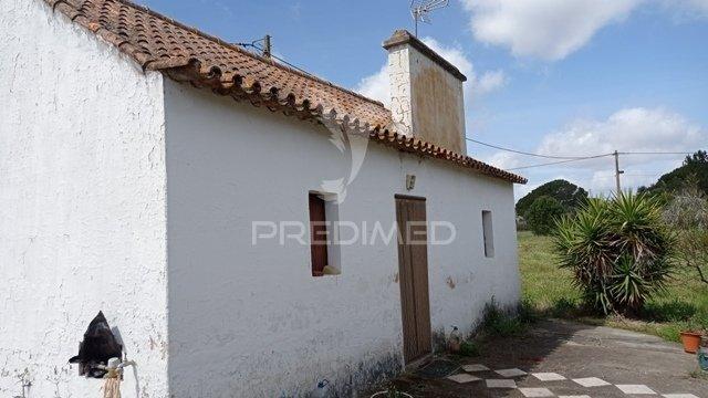 Monte alentejano, couço, coruche