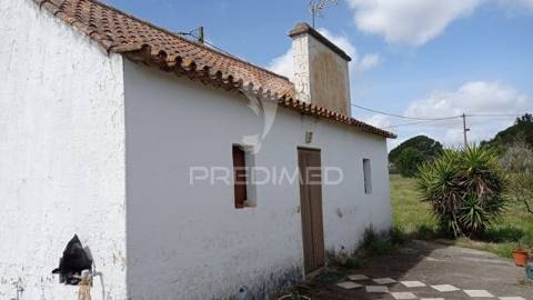 Monte alentejano, couço, coruche