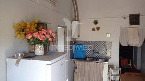 Monte alentejano, couço, coruche